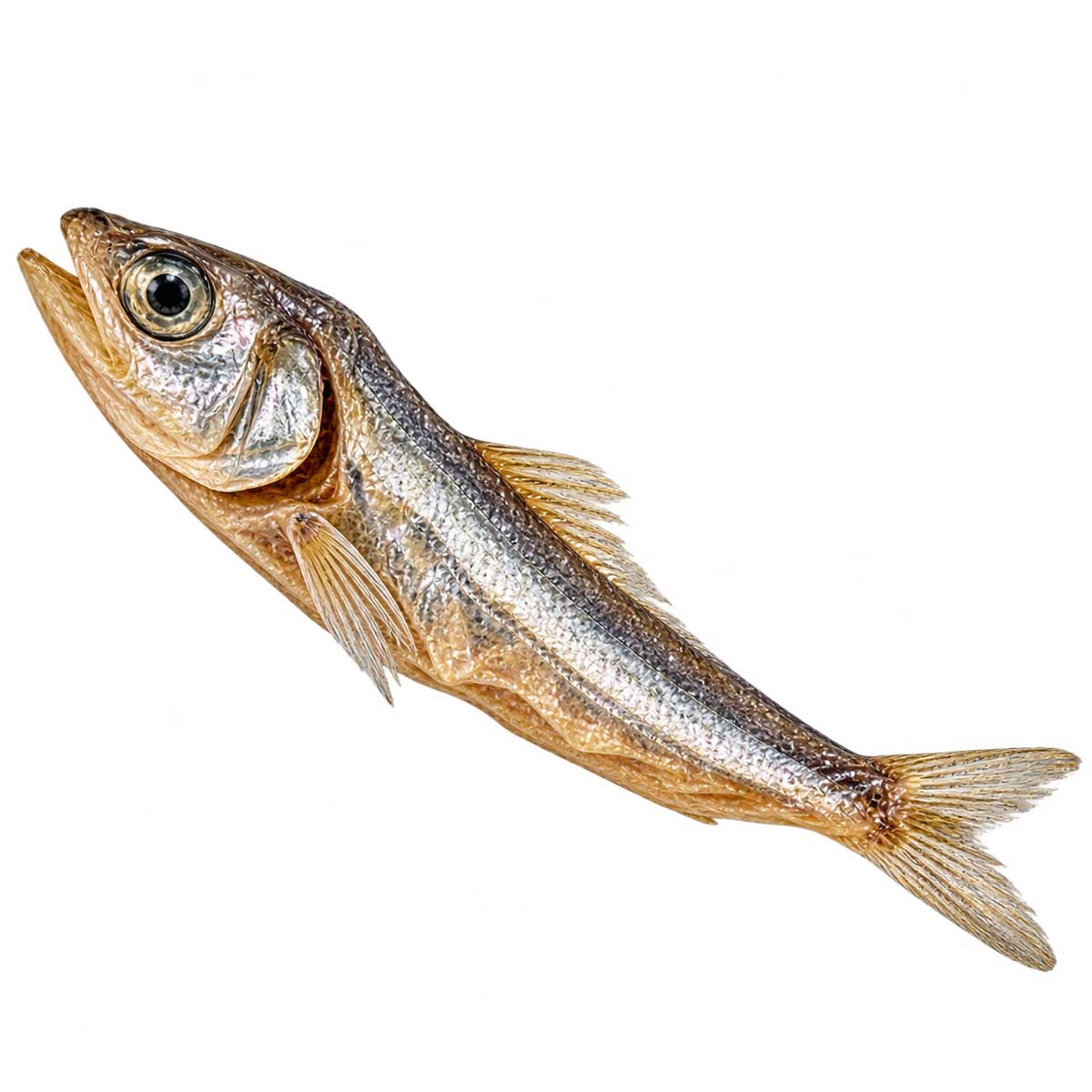 乾燥小魚整齊堆放的小魚乾商品外觀