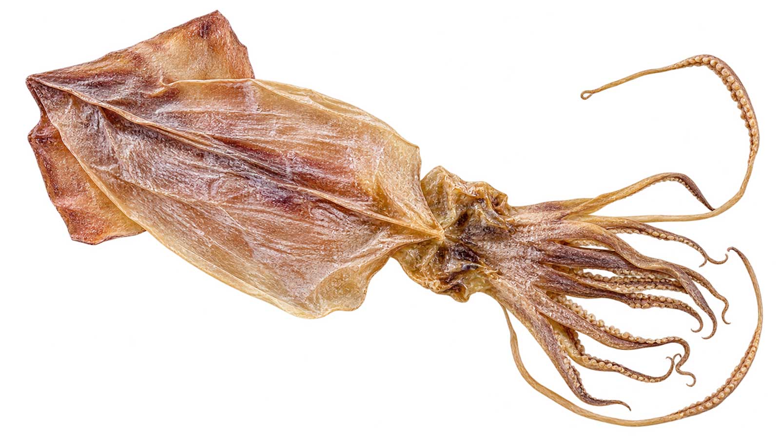 魷魚乾商品外觀