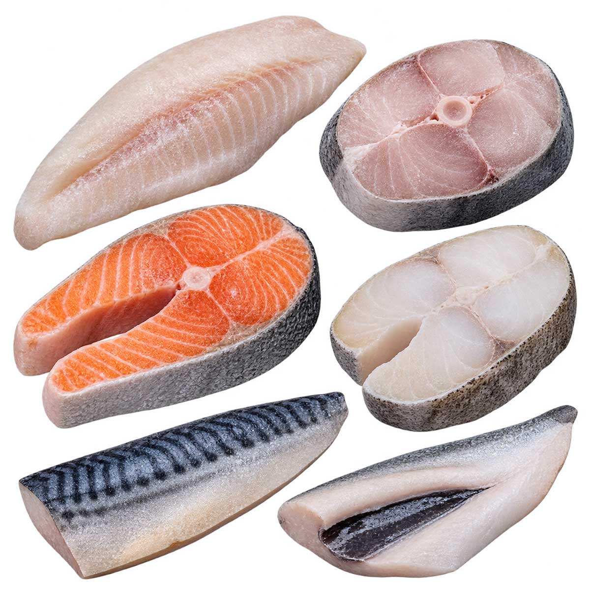 冷凍魚片、魚排與常見冷凍魚類商品外觀