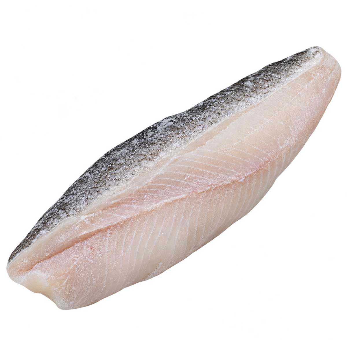 冷凍魚片 整齊排列的多片冷凍魚片商品外觀