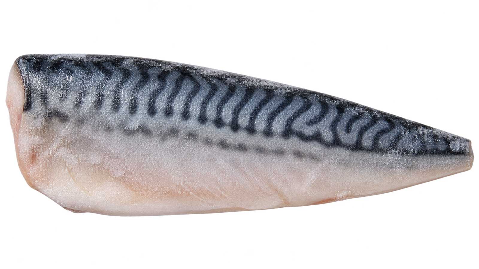 冷凍鯖魚片商品外觀
