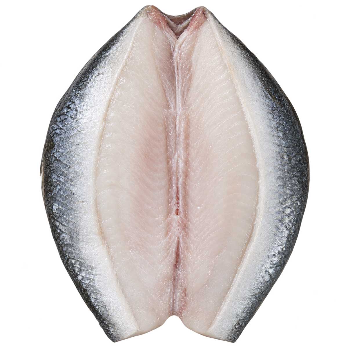剖開去內臟的冷凍虱目魚肚外觀