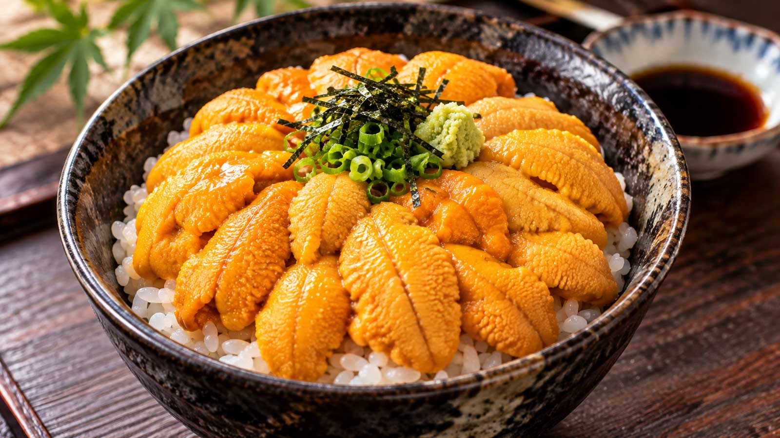 海膽丼飯完成料理,海膽鋪在白飯上搭配海苔